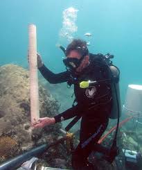 Featured as “the Mystery Galleon” in Don Ferguson's video about the 1733  fleet wrecks entitled “Galleon Hunter”