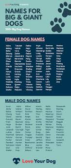 Harley, ronan, shadow—they all work just as well as female puppy names, we'd say. Dog Names Off 63 Online Shopping Site For Fashion Lifestyle