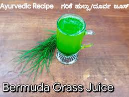 Bermuda Grass Juice Arugampul Juice ಗರ ಕ ಹ ಲ ಲ ದ ರ ವ ಜ ಯ ಸ Durva Grass Juice Bharadwaj Kitchen Recipe Bermuda Grass Ayurvedic Recipes Juice