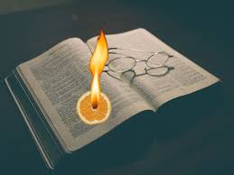 Introduction Que La Bible Est Riche Le Fruit De L Esprit Voir Galates 5 22 23 Nous Invite A Contempler Le Saint Esprit Et S Proverbe La Bible Saint Esprit