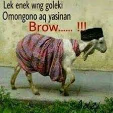 Ternyata itu sudah jadi kebiasaan. 56 Ide Stiker Lucu Lucu Stiker Lucu Gambar Lucu