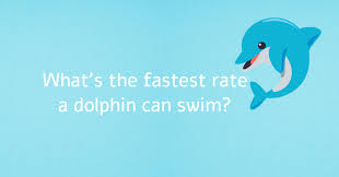 A dolphin closes it when it's in the ocean, so water doesn't get into its lungs. How Much Do You Know About Dolphins