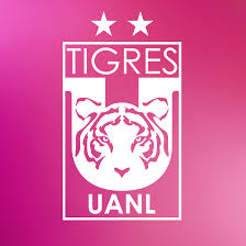 Check spelling or type a new query. Tigres Femenil Photos Facebook
