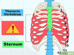 Jika ingin mengetahui penyebab nyeri tulang rusuk ini, simak ulasan berikut. Cara Mengenali Fraktur Tulang Rusuk 9 Langkah Dengan Gambar