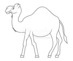 Pikpng encourages users to upload free artworks without copyright. Camel Clipart 1 566 198 Clip Arts