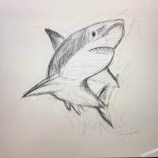 Ver más ideas sobre tiburones, mundo marino, carcharodon carcharias. Bosquejos Busqueda De Google Como Dibujar Cosas Arte De Tiburon Dibujos De Arte Simples