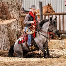 Profile for Asher Horsemanship