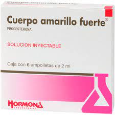 Cuerpo Amarillo Fuerte Plm