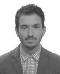 Sociedad Iberoamericana de Enfermedades Cerebro Vasculares