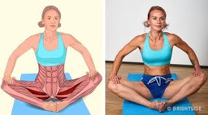 These 18 Pictures Will Show Which Muscles You Stretch Easy Yoga Workouts Stretching Exercises Butterfly Pose