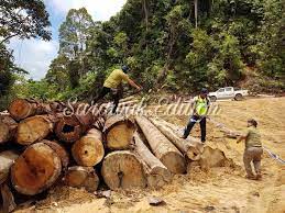 Boko haram is also thought to have connections with al qaeda and the islamic state. Sarawak Edition Dron Digunakan Bantu Kesan Pembalakan Facebook