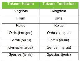 Check spelling or type a new query. Tuliskan Urutan Takson Dari Hewan Dan Tumbuhan Dari Rendah Sampai Tertinggi Brainly Co Id