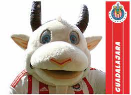 Pin On Aguilas Del America Futbol Soccer