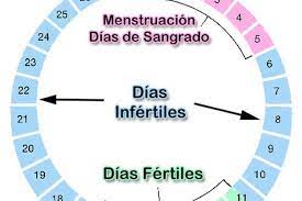 Cuanto Tiempo Despues De Tu Periodo Menstrual Puedes Quedar Embarazada Quedar Embarazada Puedo Quedar Embarazada Menstruacion Y Embarazo