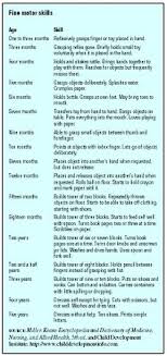 Fine Motor Developmental Milestones Gross Motor Skills