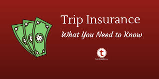 Only the trip itself is insured. 10 Things To Consider When Buying Travel Insurance For Your Disney Trip Touringplans Com Blog