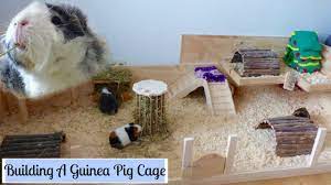 Pin On Guinea Pig Cage