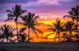 Explore our collection of motivational and famous quotes by authors you know and love. 200 Best Hawaii Quotes For Your Aloha State Adventure In 2021 The Wanderlust Within