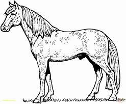Mar 04, 2019 · coloring pages realistic animal coloring pages beach ball page. Coloring Pictures Of Realistic Animals Lovely Realistic Flying Unicorn Coloring Pages New Coloring Pag Horse Coloring Pages Horse Coloring Books Horse Coloring