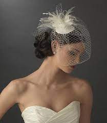 Probably Would Leave The Feathers Out And Add Your Flowers Instead Google Image Result For Http Allwomenstalk Com W Vintage Veils Birdcage Veil Bridal Veil