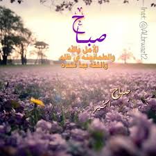 صباح من صلى الفجر وظفر بجبال من الأجر صباح السكينة والهدوء صباح الابتسامة الصافية صباح السعادة ال romantic love quotes morning images islamic pictures