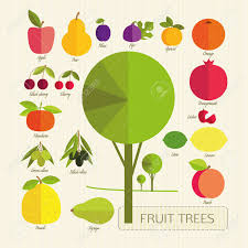 Maybe you would like to learn more about one of these? The Fruits Of Fruit Trees Colorful Fruits And Tree On A Light Royalty Free Cliparts Vectors And Stock Illustration Image 41548541
