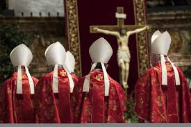 Liturgical colors aid in establishing a climate in which law and gospel may be heard and received. Pope S New Crop Of Cardinals Let Their Colors Show