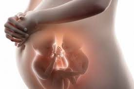 Gerakan pertama janin ini mungkin akan terasa seperti getaran. Komplikasi Kehamilan Kembar Pada Bayi Dan Ibu Hamil Alodokter