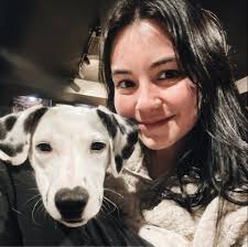 What are some good dog groomers in the 574 area?