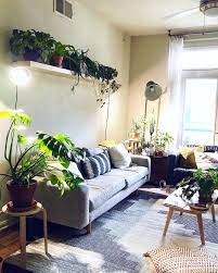 Toni Small Apartment Jungle No Instagram Had To Re Arrange Some Plants Last Weekend It S Always Nerve Wreckin Small Apartments Cool Lighting Apartment