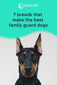 Best Family Guard Dogs 7 Top Breeds Guard Dogs Best Guard Dogs Guard Dog Breeds