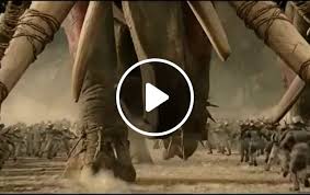 Check spelling or type a new query. Ace Ventura Return Of The King Meme Video Gifs Hybrid Meme Action Meme Safari