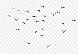 Bird flight bird flight flock bird migration, birds pic, love, angle png. Free Png Bird Silhouette Group Png Images Transparent Flock Of Birds Png Clipart 2560727 Pikpng