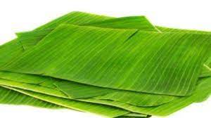 Find bed sores how to treat. 15 Manfaat Daun Pisang Untuk Kesehatan Trik Kecantikan Dan Cara Membuat Minuman Tradisional Tribun Palu