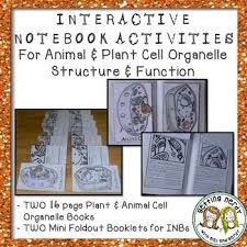 Check spelling or type a new query. Plant Animal Cell Booklet Interactive Science Notebook Activity For Biology Interactive Science Notebook Interactive Science Plant And Animal Cells