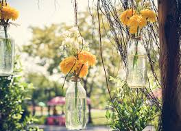 We did not find results for: 10 Great Cutting Flowers For Summer