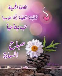 صباح النور والسرور والورد المنثور good morning beautiful flowers good morning flowers good morning gif
