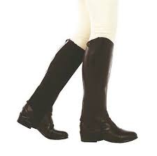 New Dublin Defy Leather Half Chaps Brown Extra Small Ebay