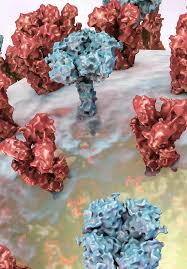 A systematic review and metaanalysis теxt / shi t. Hurdles In Vaccine Development Against Respiratory Syncytial Virus Intechopen
