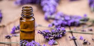 L'huile essentielle de lavande : bienfaits et utilisation | LaNutrition.fr