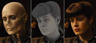 Dolores Mcelroy's Instagram, Twitter & Facebook