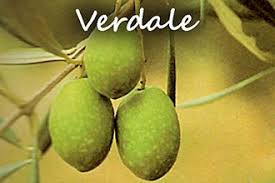Les Olives Vertes De Provence Provence 7