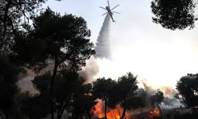 Υψηλόβαθμα στελέχη της μεγαλύτερης εταιρείας ηλεκτρονικού εμπορίου στον κόσμο αναμένονται στην αθήνα το μεσημέρι της 13ης σεπτεμβρίου 2016 για. 7421afeiretijm