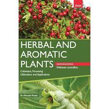 Image result for Withania somnifera