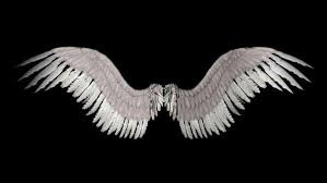 Black And White Angel Wings Wallpaper Pin By Dana Leewood On My Creations Wings Wallpaper Wings Drawing Lucifer Wings
