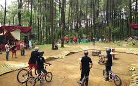 Harga tiket masuk pantai mutun. Hutan Pinus Sentul Tiket Aktivitas Agustus 2021 Travelspromo