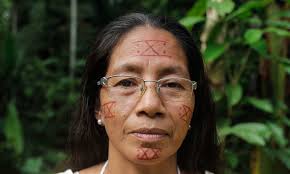 Annual Impact Report 2019