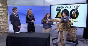 Meet some very special guests from the Lehigh Valley Zoo
