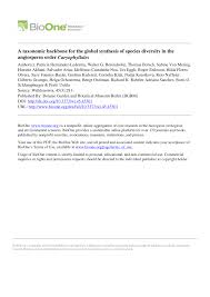 Image result for Plinthus cryptocarpus