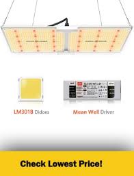 Now you know how to compute how much your grow lights will cost when it comes to electricity, you can now gauge if they are energy efficient grow lights. 5 Best Cheap Led Grow Lights For Best Yields 2021 Must Read